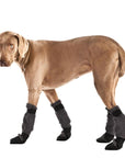 Weimaraner Dog Booties - Voyagers K9 Apparel