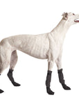 Greyhound Dog Booties - Voyagers K9 Apparel