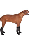 Rhodesian Ridgeback Dog Booties - Voyagers K9 Apparel