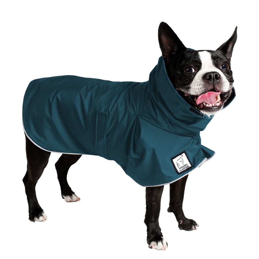 Boston Terrier Dog Rain Coat (Dark Teal) - Voyagers K9 Apparel