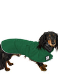 Dachshund Raincoat