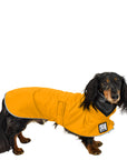 Dachshund Rain Coat (Yellow) - Voyagers K9 Apparel