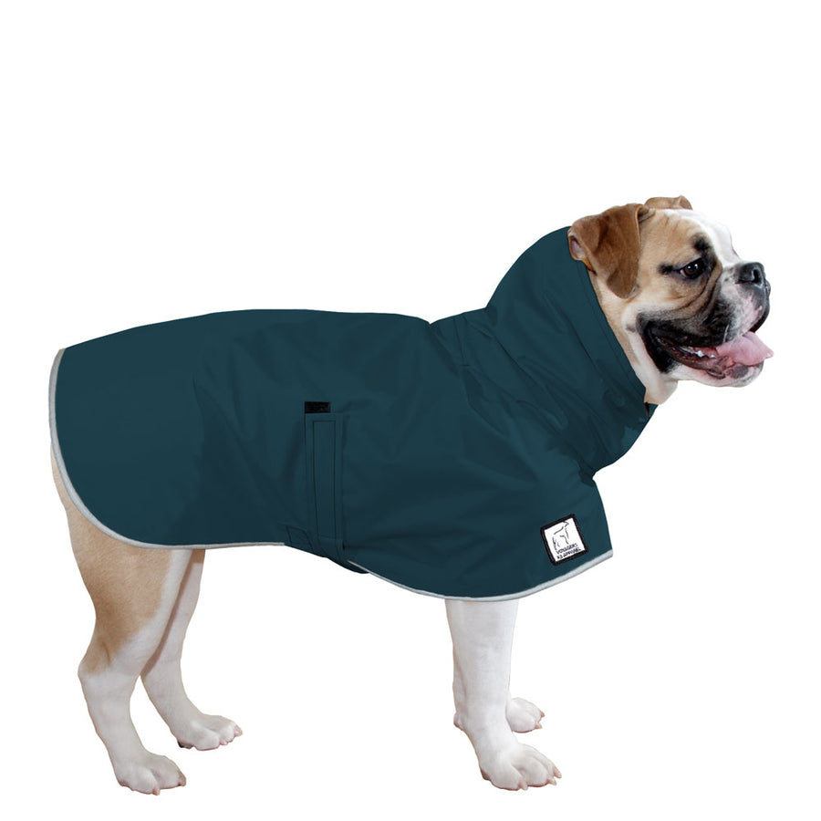 English Bulldog Rain Coat (Dark Teal)- Voyagers K9 Apparel