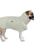 English Bulldog Raincoat