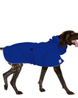German Shorthaired Pointer (Special Order Blue) - Voyagers K9 Apparel