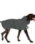 German Shorthaired Pointer (Special Order Smoke) - Voyagers K9 Apparel