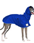Italian Greyhound Rain Coat (Special Order Blue) - Voyagers K9 Apparel