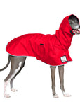 Italian Greyhound Raincoat