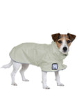 Jack Russell Terrier Raincoat