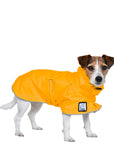 Jack Russell Terrier Rain Coat (Yellow) - Voyagers K9 Apparel Dog Gear