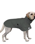 Labrador Retriever Rain Coat (Special Order Smoke) - Voyagers K9 Apparel