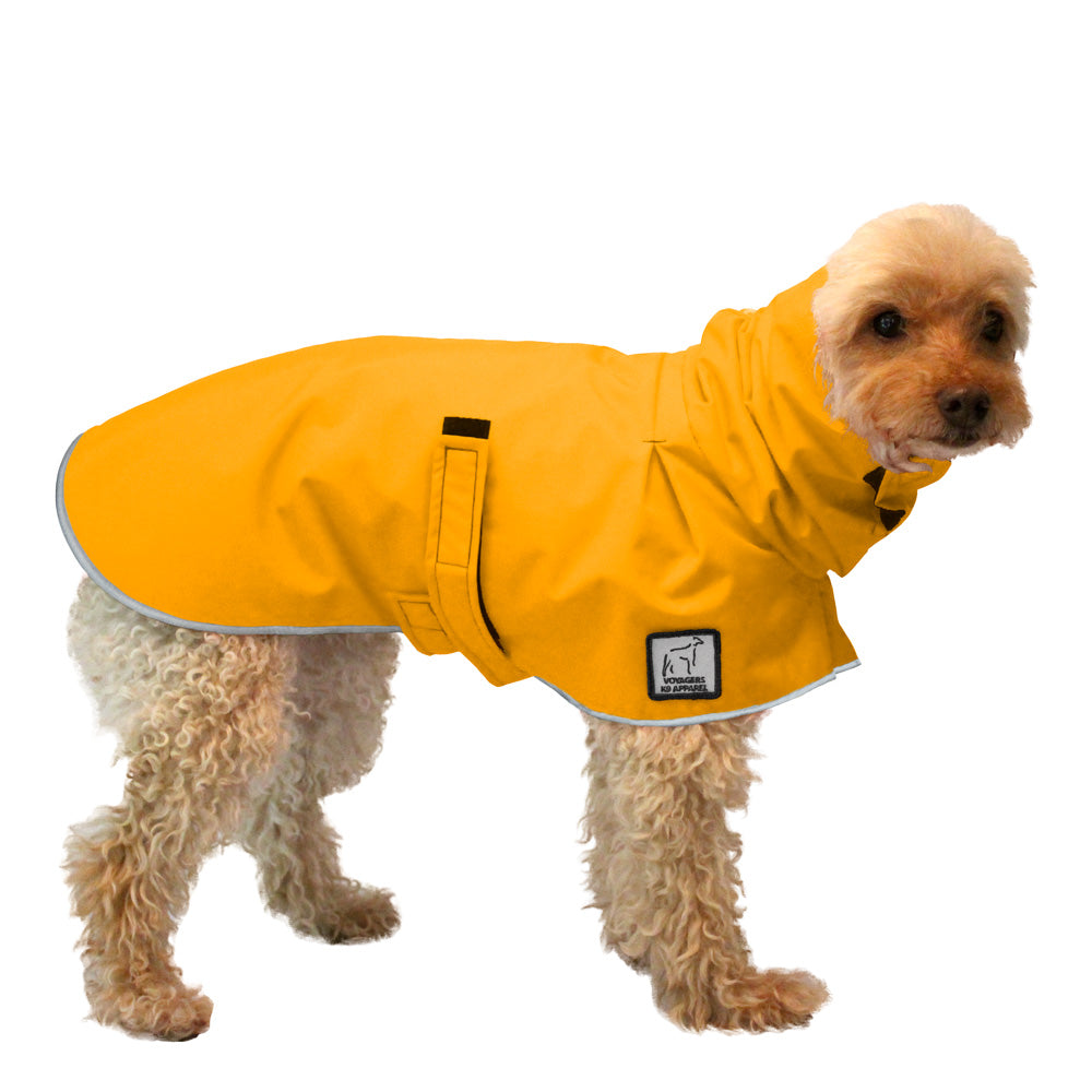 Poodle raincoat deals