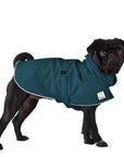 Pug Rain Coat (Dark Teal) - Voyagers K9 Apparel