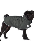Pug Rain Coat (Special Order Smoke) - Voyagers K9 Apparel