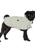 ReCoat ♻️ Like New: Pug Raincoat