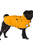 Pug Rain Coat (Yellow) - Voyagers K9 Apparel