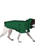 Rat Terrier Raincoat