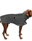 Vizsla Rain Coat (Special Order Smoke) - Voyagers K9 Apparel
