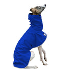 Whippet Rain Coat (Special Order Blue) - Voyagers K9 Apparel