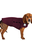 Beagle Tummy Warmer - Voyagers K9 Apparel