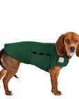 Beagle Tummy Warmer - Voyagers K9 Apparel