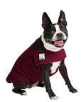 Boston Terrier Tummy Warmer - Voyagers K9 Apparel