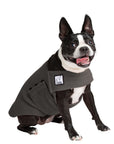 Boston Terrier Tummy Warmer - Voyagers K9 Apparel