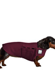 Dachshund Tummy Warmer - Voyagers K9 Apparel