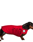 Dachshund Tummy Warmer - Voyagers K9 Apparel