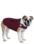 English Bulldog Tummy Warmer - Voyagers K9 Apparel