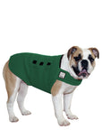 English Bulldog Tummy Warmer - Voyagers K9 Apparel