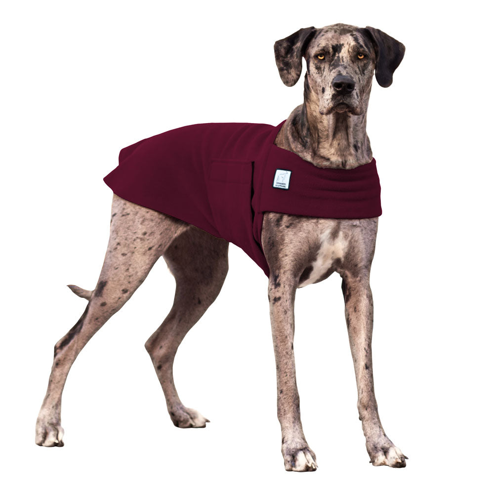 German Shorthaired Pointer Dog Tummy Warmer Dog Vest – Voyagers K9 Apparel