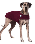 Great Dane Tummy Warmer - Voyagers K9 Apparel