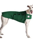 Greyhound Tummy Warmer - Voyagers K9 Apparel