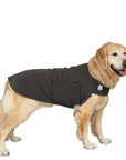 Golden Retriever Tummy Warmer Dog Vest (Nightfall) - Voyagers K9 Apparel Dog Gear