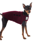 Miniature Pinscher Tummy Warmer (Burgundy) - Voyagers K9 Apparel Dog Gear