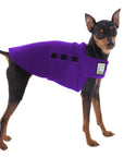 Miniature Pinscher Tummy Warmer (Purple) - Voyagers K9 Apparel Dog Gear