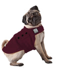 Pug Tummy Warmer - Voyagers K9 Apparel