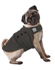 Pug Tummy Warmer - Voyagers K9 Apparel