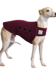 Whippet Tummy Warmer - Voyagers K9 Apparel