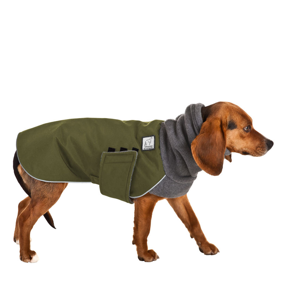 Beagle Winter Coat (Olive) - Voyagers K9 Apparel