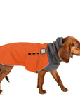 Beagle Winter Coat (Special Order Orange) - Voyagers K9 Apparel