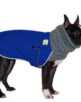 Boston Terrier Winter Coat (Special Color Blue) - Voyagers K9 Apparel