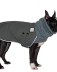 Boston Terrier Winter Coat (Special Color Smoke) - Voyagers K9 Apparel