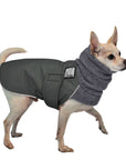 Chihuahua Winter Coat (Special Order Smoke) - Voyagers K9 Apparel