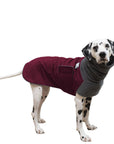 Dalmatian Winter Coat (Burgundy) - Voyagers K9 Apparel
