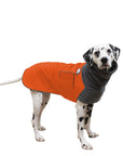 Dalmatian Winter Coat (Special Order Orange) - Voyagers K9 Apparel