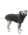 Dalmatian Winter Coat (Special Order Smoke) - Voyagers K9 Apparel