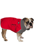 English Bulldog Winter Coat (Red) - Voyagers K9 Apparel