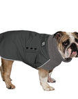 English Bulldog Winter Coat (Special Order Smoke) - Voyagers K9 Apparel